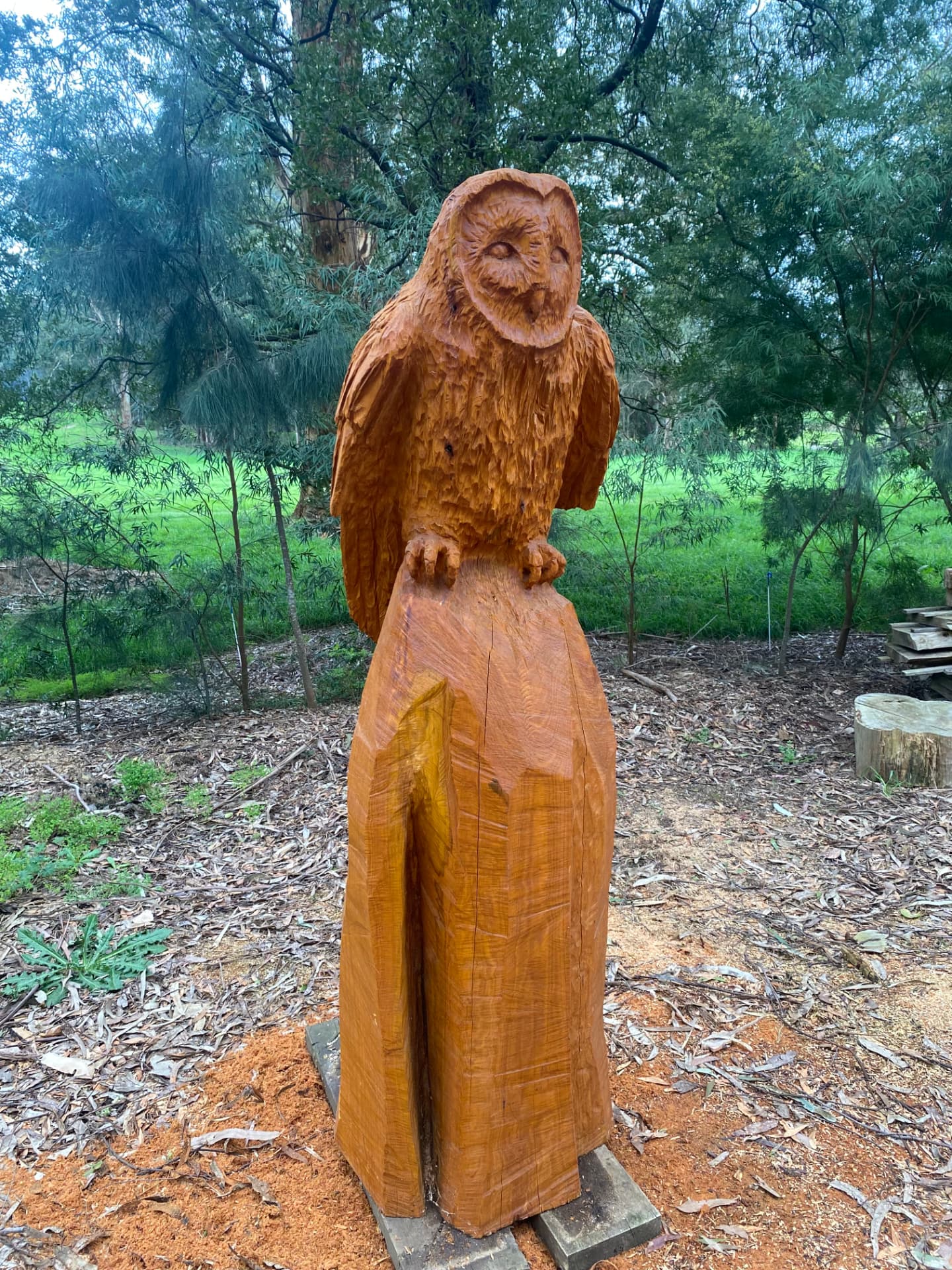 Large Barn Owl — chainsaw sculpture in Cypress