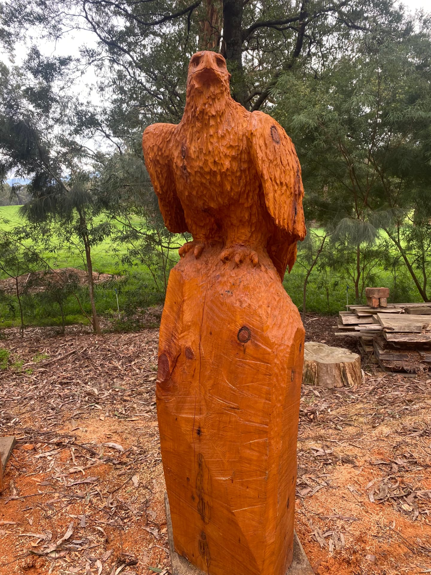 Large Wedge Tail — chainsaw sculpture in Cypress