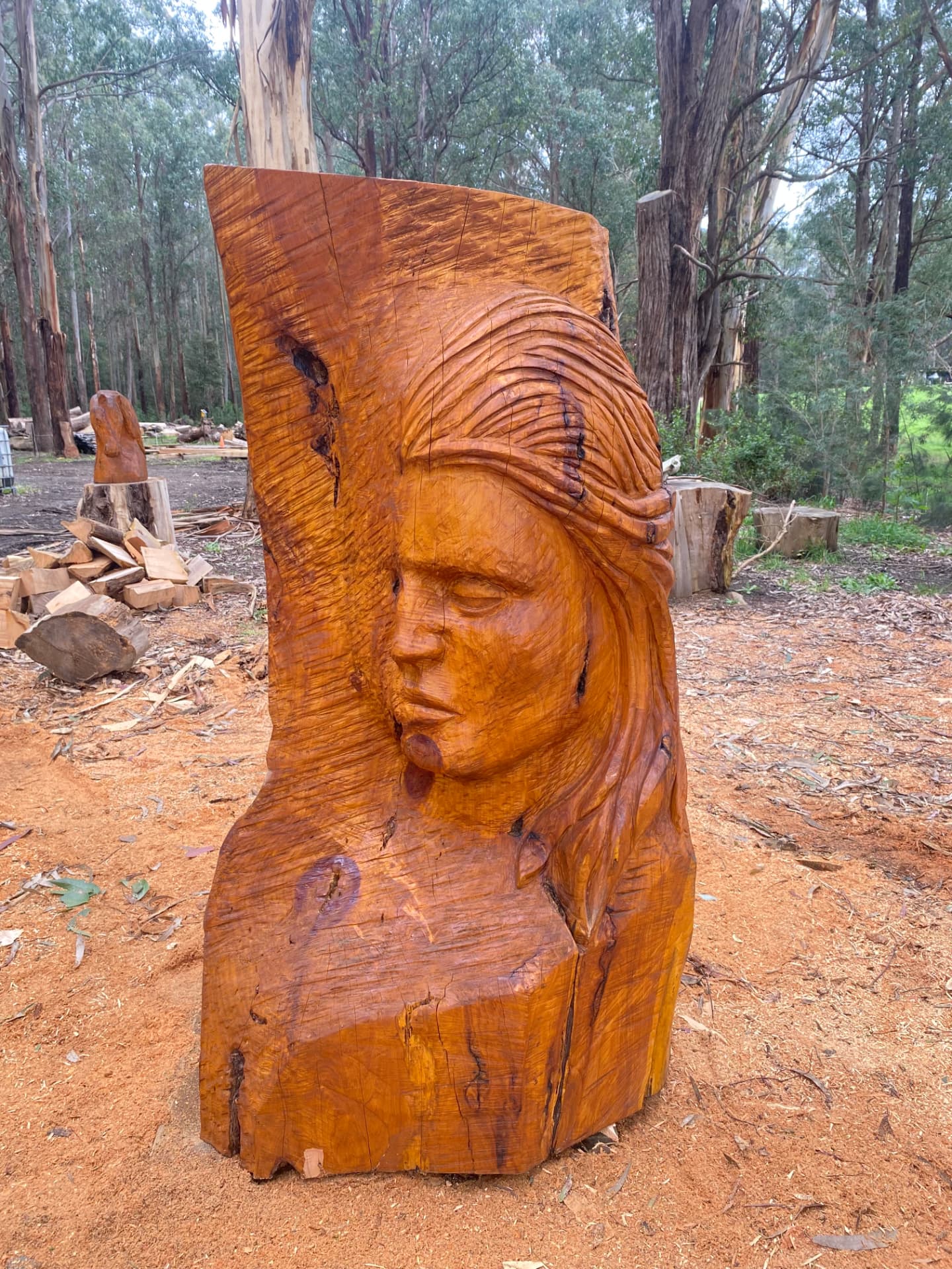 Flowing Face — chainsaw sculpture in Cypress
