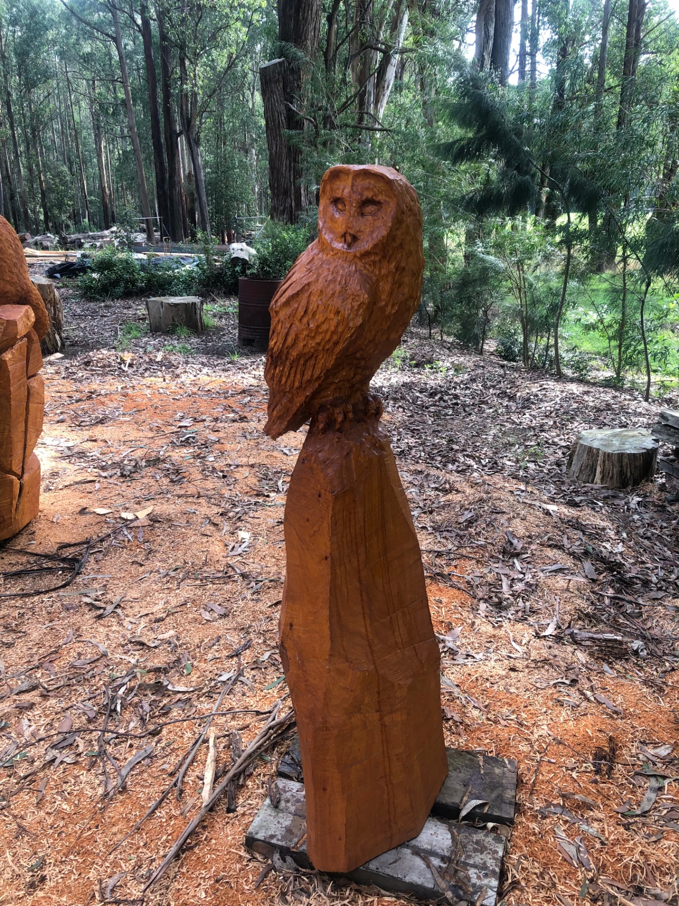 Barn Owl — chainsaw sculpture in Cypress